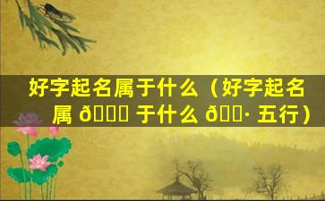 好字起名属于什么（好字起名属 🐘 于什么 🕷 五行）